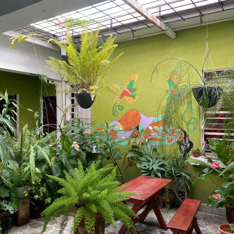 Hostal Cumbres Del Volcan Flor Blanca San Salvador Ngoại thất bức ảnh